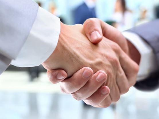 Servicios a Profesionales